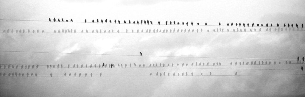 Black-out — Creación artística de María Ortega