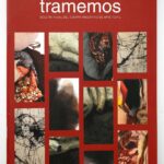 Revista Tramemos — Fiber Future
